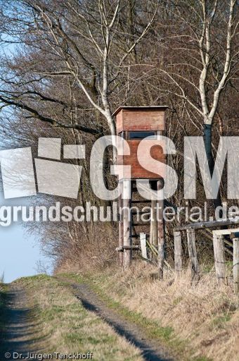 Hochstände (132 von 154).jpg